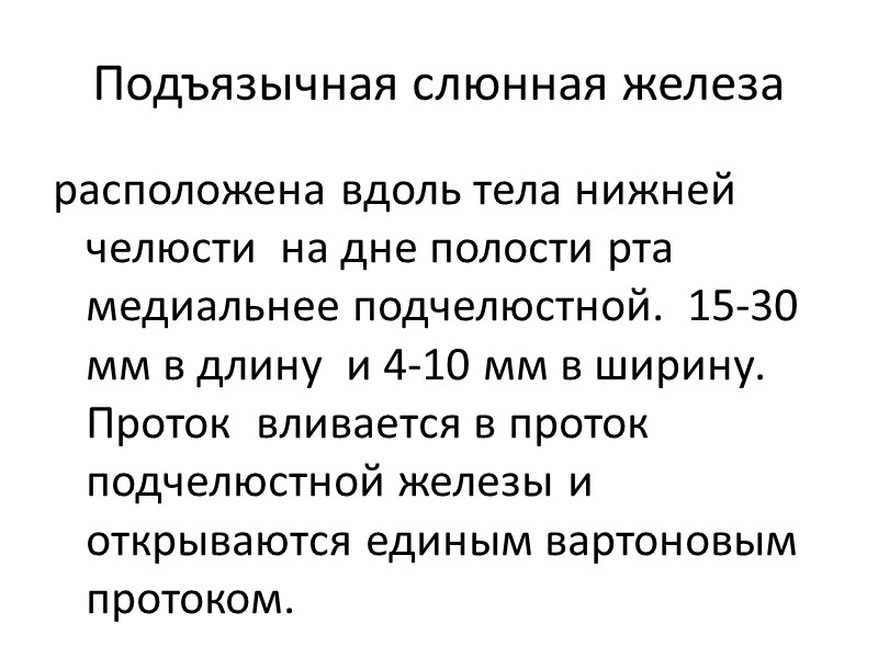 Подъязычная слюнная железа расположена вдоль тела нижней челюсти  на дне полости рта 